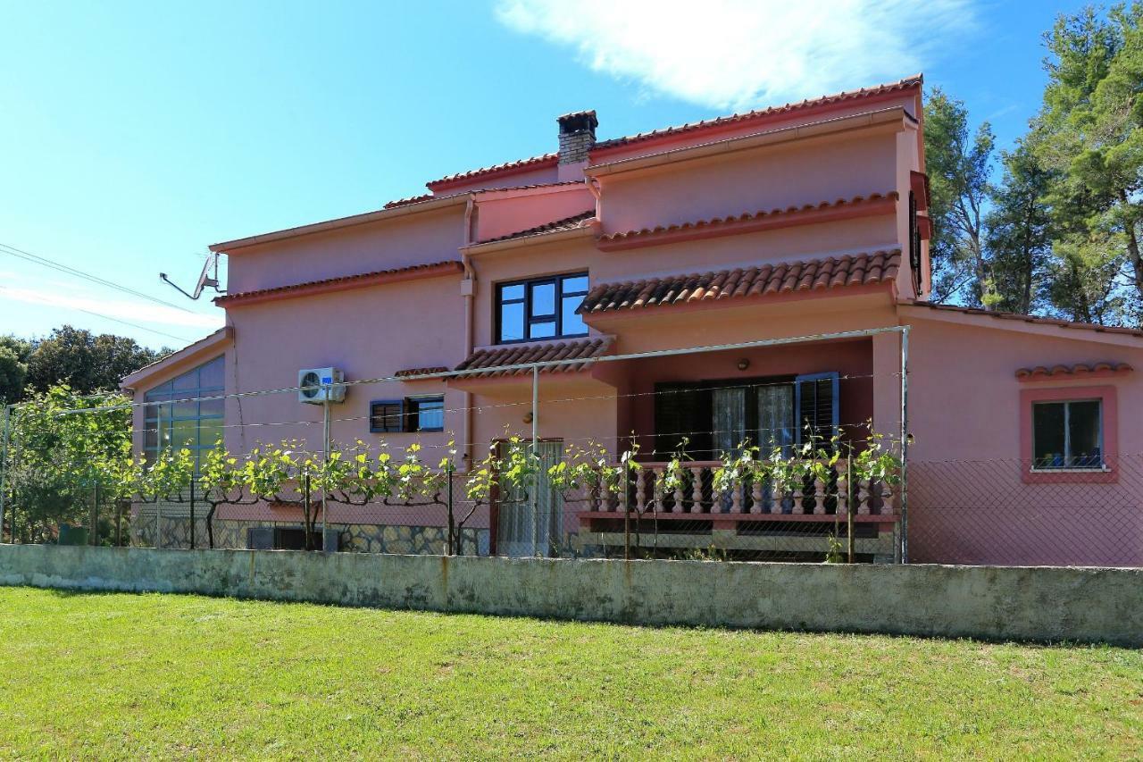 Apartmani Jagoda بيبينيا المظهر الخارجي الصورة